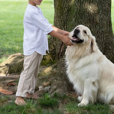 Boys White Linen Shirt Autumn male