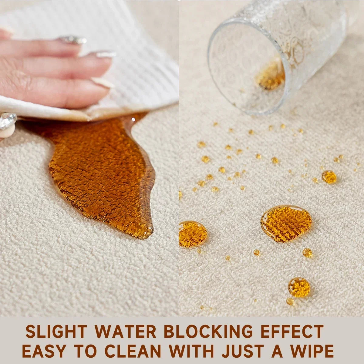 Home Entrance Rug Soft & Non-Slip Design