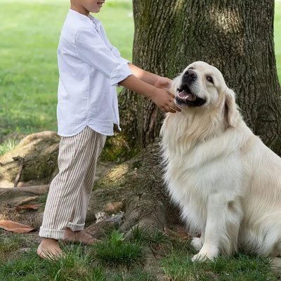Boys White Linen Shirt Autumn male